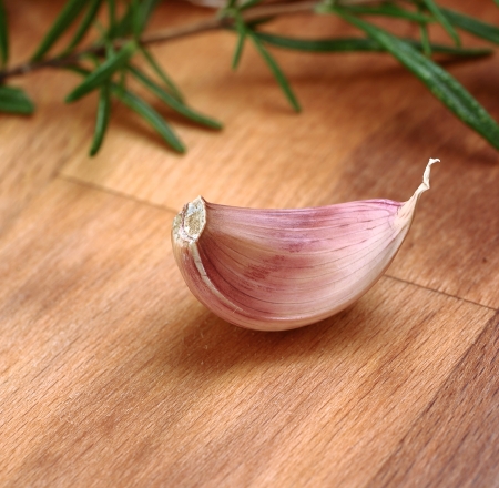 Close up of one garlic clove with fresh organic rosemaryの写真素材