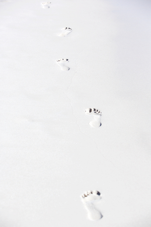 Human foot prints on beach sandの写真素材
