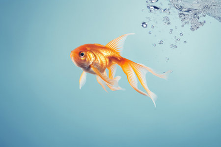 a graceful goldfish inspires with its elegance, finding serenity in the blue depthsの素材