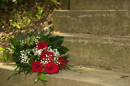 RosenstraÃの素材