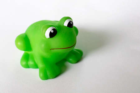 A frog waiting for a moment to jump.の写真素材