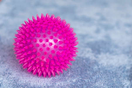A rubber ball with spikes "hedgehog" in a purple color.の写真素材