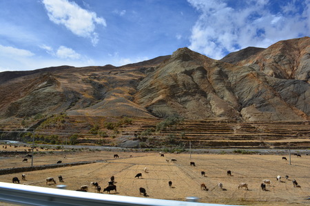 tibetan plateauの写真素材