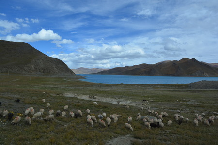 Yang zhuo yong measuresの写真素材