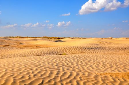 Blue sky over Saharaの写真素材