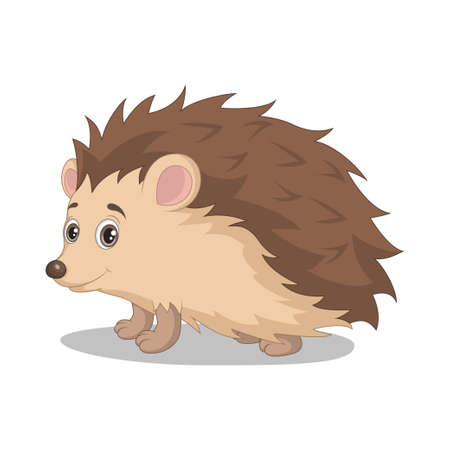 Cute baby hedgehog cartoon on white backgroundのイラスト素材