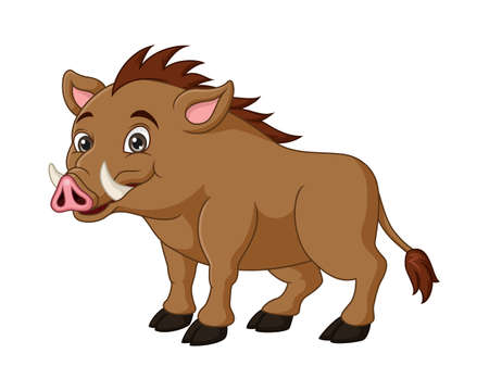 Wild boar cartoon on white backgroundのイラスト素材