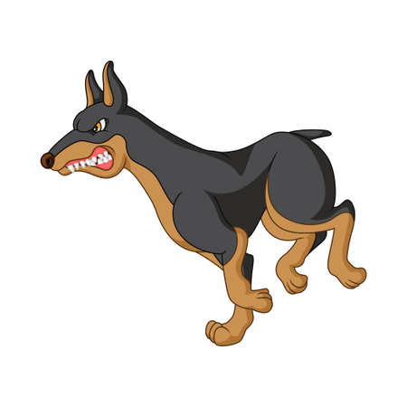 Cartoon angry doberman dog runningのイラスト素材