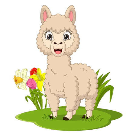 Cute llama cartoon in the grassのイラスト素材