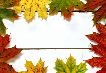 Autumn background with colorful leaves on a wooden table.