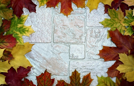 Frame with colorful leaves on a stone background.の写真素材