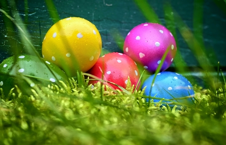 Holiday, event and Easter concept-pastel Easter eggs in a garden on green grass.の写真素材