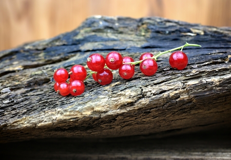Healthy food, agriculture, harvest and fruit concept: close up view of fresh ripe red currants on an...
