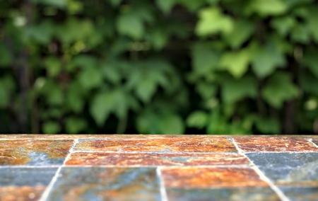 Old stone empty table surface on a background of green fruit bushes.Montage your products and copy space.の写真素材