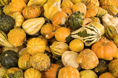 A display of gourds displayed at a famers market for holiday decorations.