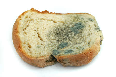 Moldy slice of a white bread on a white backgroundの写真素材