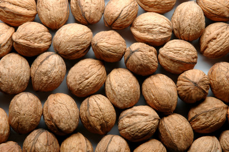 Close-up of a walnuts