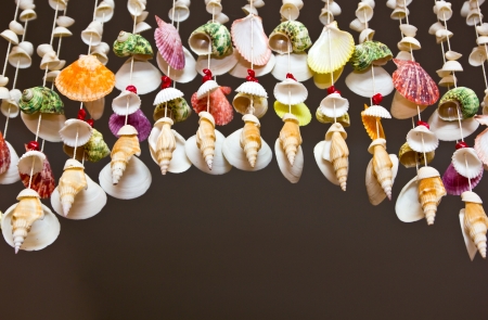 Handicrafts produced by the shell wallの写真素材