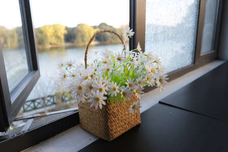 Bouquet of daisies in a basket on the windowsillの写真素材