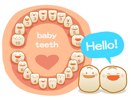 baby teeth, Vector illustration, Brushing teeth, clean teeth, happy time のイラスト素材