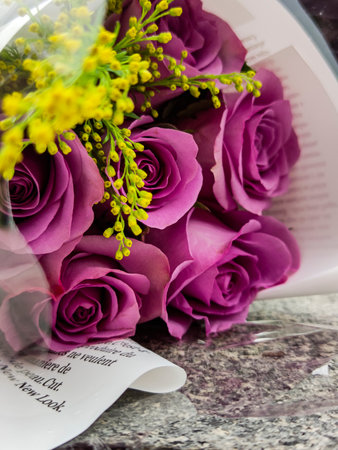 Purple Roseの写真素材