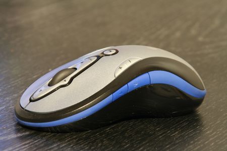 mouse