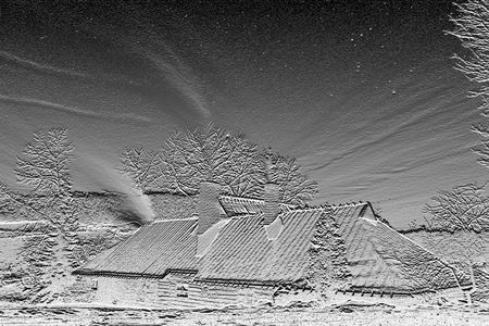 Black and white winterの写真素材