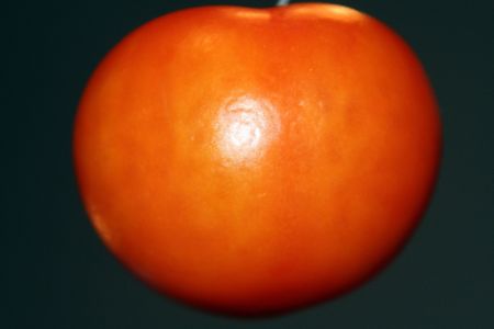 Tomato on a black backround. Close-up taken photo.の写真素材