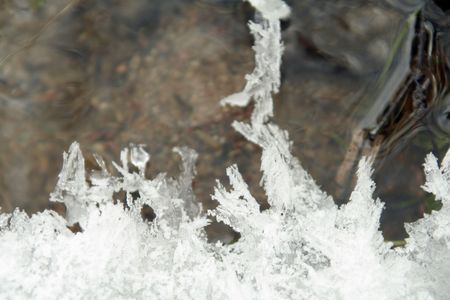 Some plants are cowerd with snow. It`s wintertime and cold weatherの写真素材