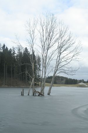 Winterの写真素材