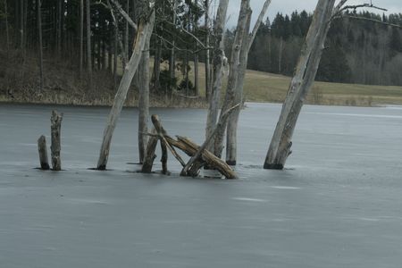 Winterの写真素材