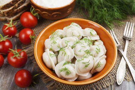 Delicious dumplings in the plate on the tableの写真素材