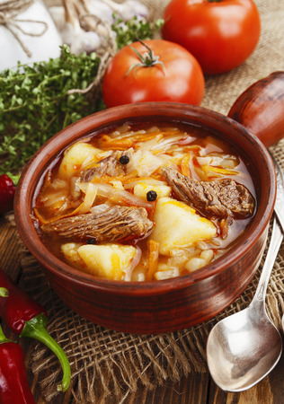 Soup with cabbage and meat. Russian traditional dishの写真素材