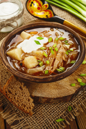Soup with cabbage and meat. Russian traditional dishの写真素材