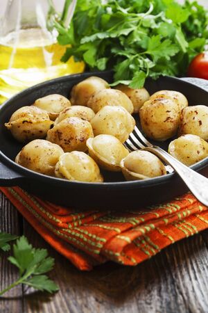 Delicious dumplings in the frying pan on the tableの写真素材