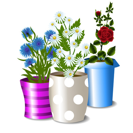 Three flower pots with roses, daisies, cornflowers and leaves isolated on white background, vector illustrationのイラスト素材