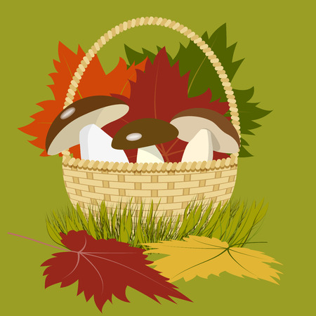 Basket with mushrooms and colorful leaves on the grass, autumn still life, vector illustrationのイラスト素材