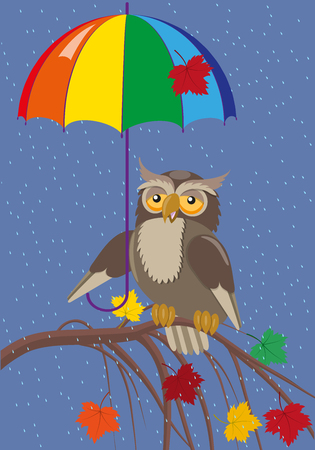 Owl under umbrellaのイラスト素材