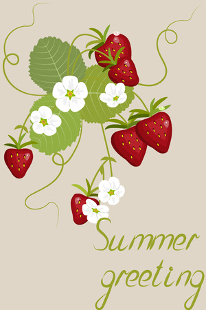 Greeting card with strawberry design on a backgroundのイラスト素材