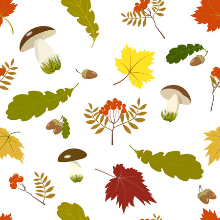 Pattern autumn giftsのイラスト素材