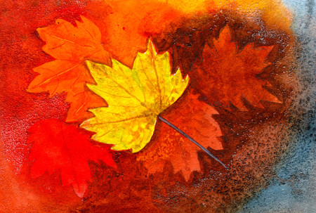 Fallen autumn leavesの写真素材