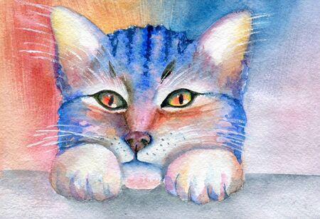 Portrait of a cat, multicolor watercolor abstractionの写真素材