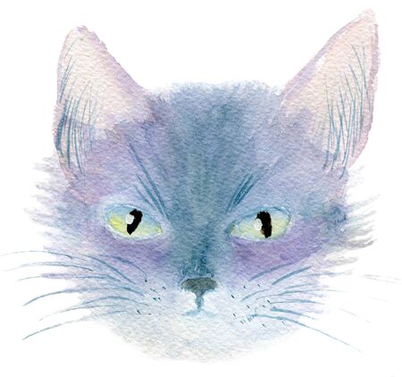 Watercolor portrait of a young gray catの写真素材