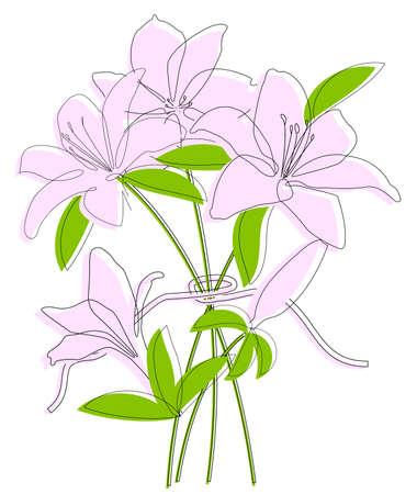 Bouquet of pink lilies, one line drawingのイラスト素材