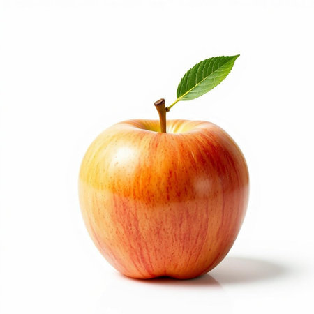 Red apple with leaf isolated on white background, clipping path included.の素材