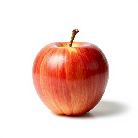 Red apple isolated on white background. Close up. Studio shot.の素材