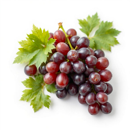 Bunch of red grapes with green leaves isolated on white background.の素材