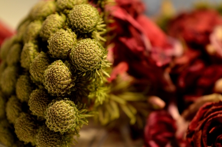red rose and other flowers. dried roses. bouquet of roses.の写真素材