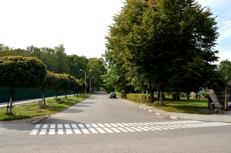 Road signs. Crosswalk. White strip on the asphalt.の写真素材