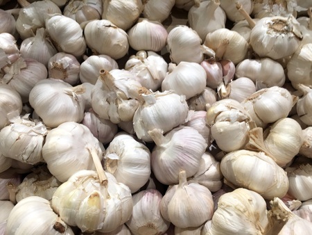Garlic. Vegetables. Fragment from a fruit and vegetable shop.の写真素材